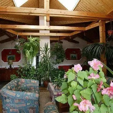Studio Mignonette *